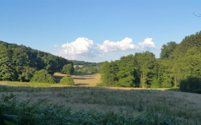 Lyrisch-philosophischer Spaziergang im Naafbachtal