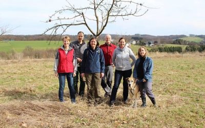 Pflege der Streuobstwiese bei Lohmar-Saal